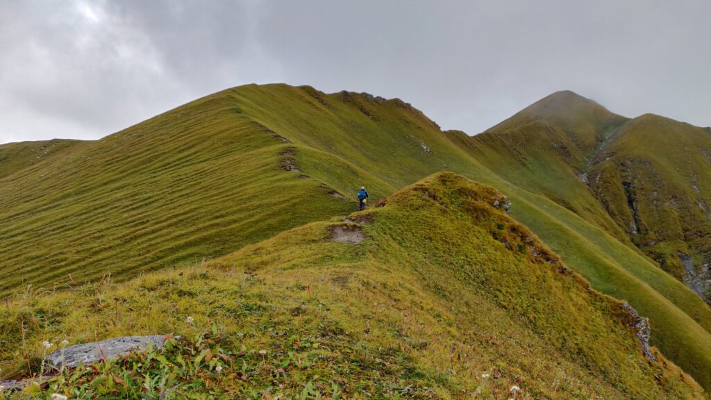 Gidara Bugyal Trek