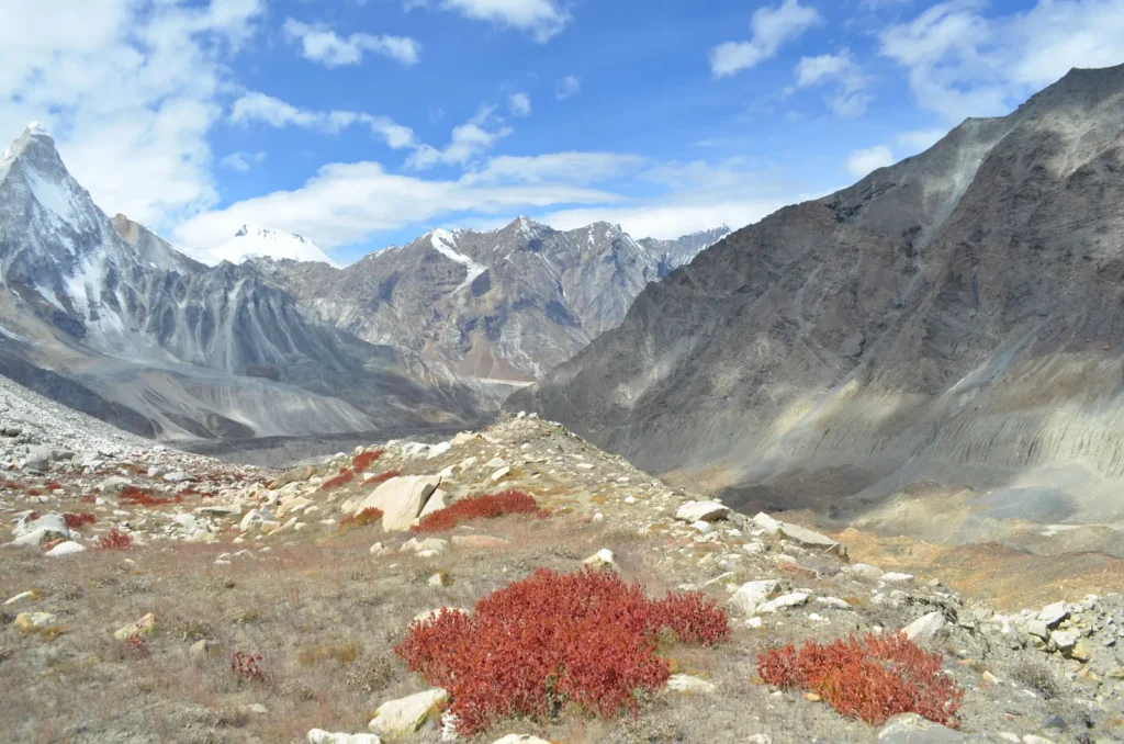 Nandanvan Trek